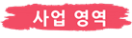사업영역-SS.png